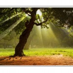 Enlightenment