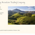 munnar-tea-gardens