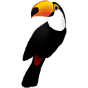 Toucan Backup